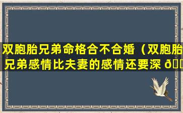 双胞胎兄弟命格合不合婚（双胞胎兄弟感情比夫妻的感情还要深 🍀 ）